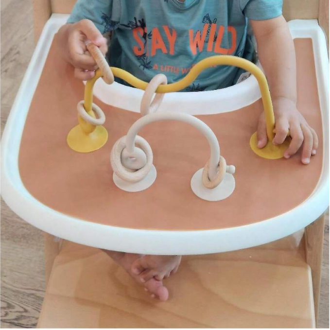 Montessori Educational Toy - Silicone Suction Cup