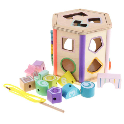 Multi-Functional Shape Sorter box