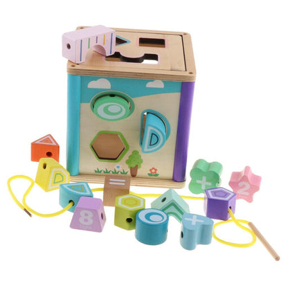Multi-Functional Shape Sorter box
