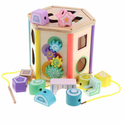 Multi-Functional Shape Sorter box