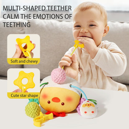 Hanging Baby Activity Toy