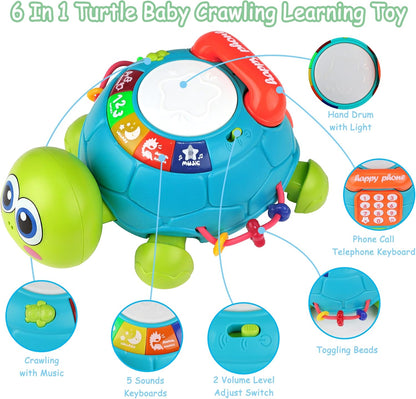 Interactive Turtle Educational Toy – Musical Crawling Toy for Babies (6–18 Months)