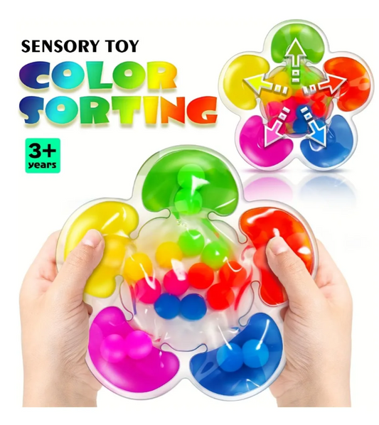 Color Sorting Toys Sensory Toys