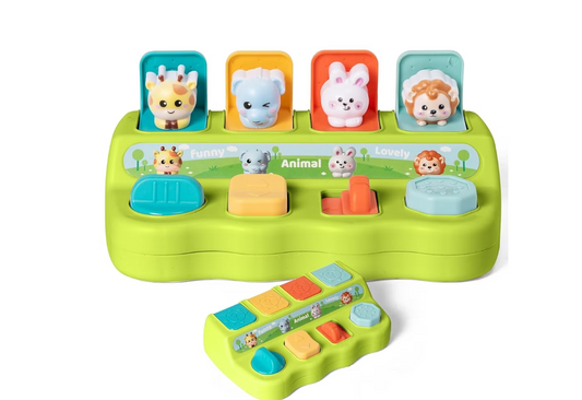 Interactive Animal Activity Center