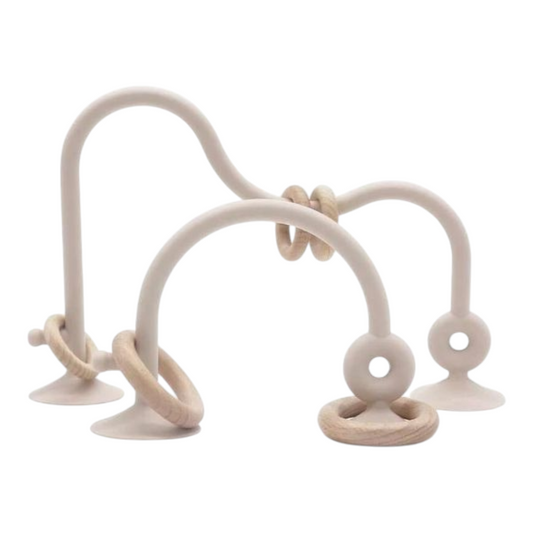 Montessori Educational Toy - Silicone Suction Cup